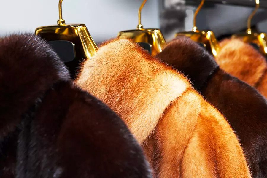 Furrier-and-Garment-Dealer-Insurance-Closeup-of-Vintage-Fur-Coats-on-a-Sale-Rack